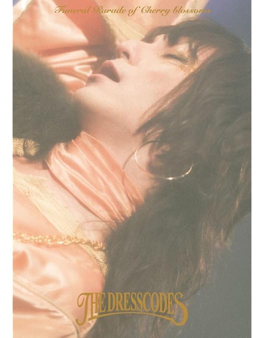 【非売品】ドレスコーズ「どろぼう」 the dresscodes 告知 ポスター 非売品】ドレスコーズ「どろぼう」 the dresscodes 告知